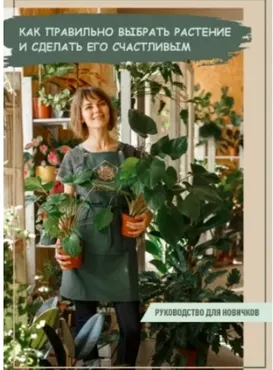 Как правильно выбрать растение и сделать его счастливым (plants_zasteklom)