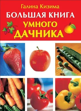 [ЛитРес] Большая книга умного дачника (Галина Кизима)