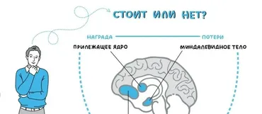[Школа биологической кинезиологии] Нейрофизиология.Теоретические основы психосоматики, 2018