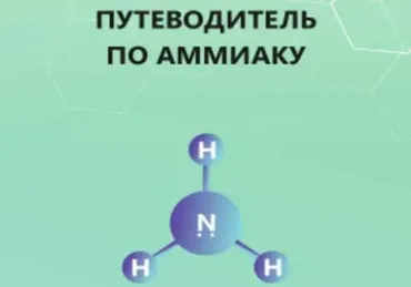 Путеводитель по аммиаку (Кристина Максимова)