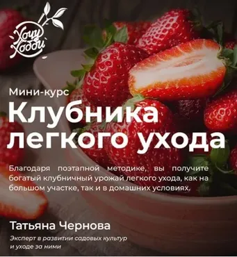 [ХочуХобби]Огород легкого ухода (Татьяна Чернова)