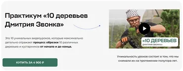 [Умный Садовник] 10 деревьев Дмитрия Звонка. Практикум (Дмитрий Звонка)