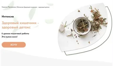Здоровый кишечник - здоровый детокс (Анастасия Родионова)