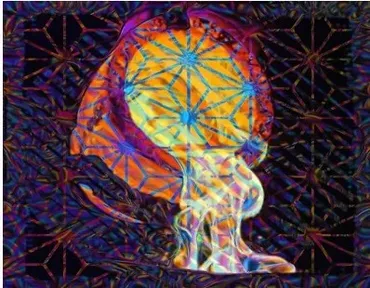 [Sapien Medicine] Горнило ментального пространства / The crucible of mental space