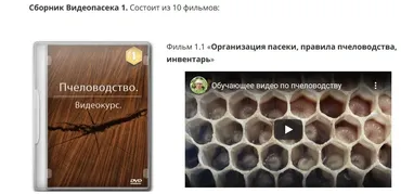 Пчеловодство: Сборник Видеопасека 1 (Николай Осташов)