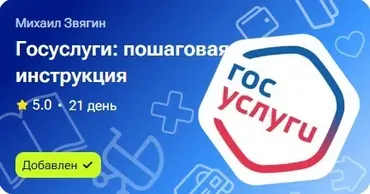 Госуслуги: пошаговая инструкция (Михаил Звягин)