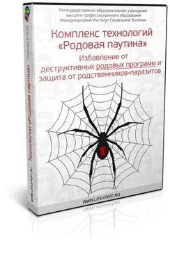 Родовая паутина. Избавление от деструктивных родовых программ (Вячеслав Губанов)