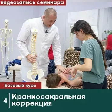 [Сандал] Краниосакральная коррекция. Без сертификата (Антон Циванюк, Михаил Белюк)