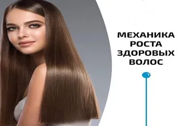 Механика роста здоровых волос (Владимир Животов)