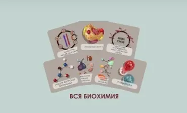 [CHRISTOVSKAYA’S Medical School] Бокс «Весь курс биохимии»