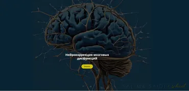 Нейрокоррекция мозговых дисфункций. Декабрь 2024 (Салима Саиди)