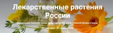 Лекарственные растения России. Тариф Без обратной связи  (Ксения Дудова)