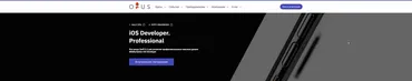 [OTUS] iOS Разработчик. Продвинутый курс v 2.0 Часть 1-2 (2020) (Ексей Пантелеев)
