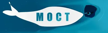 Мост. Клубная программа. Февраль 2026 (Мария Бразговская)
