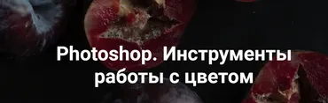 Photoshop. Инструменты работы с цветом, 2024 (Ольга Паволга)