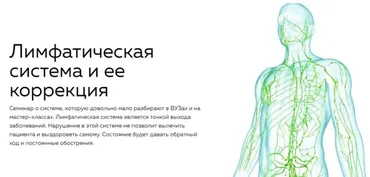 [Nl-School] Лимфатическая система и ее коррекция (Кирилл Копыльцов)