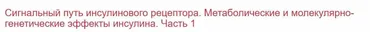 [Клиника Калинченко] Сигнальный путь инсулинового рецептора. Часть 1 (Леонид Ворслов)