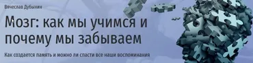 [Прямая речь] Мозг: как мы учимся и почему мы забываем (Вячеслав Дубынин)