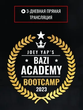 Bootcamp 2023 Академии Ба цзы (Joey Yap)