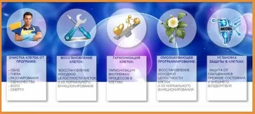 Здоровые клетки (Руслан Янгаев)