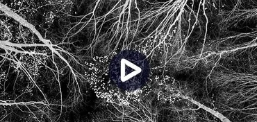 [liveclasses] Обработка пейзажа в Photoshop: панель автоматизации, 2020 (Дмитрий Шатров)