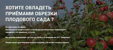Обрезка плодового сада (Владимир Самсоненко)