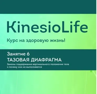 [KinesioLife] Семинар 6. Тазовая диафрагма (Дмитрий Маликов)
