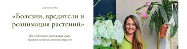 Болезни вредители и реанимация растений (Ксения Занина)