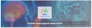[Практика] Основы прикладной неврологии (Мария Недре)