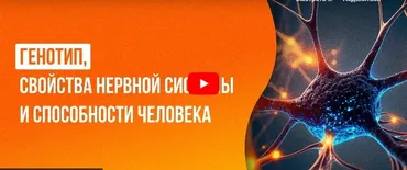 [Инфоурок] Генотип, свойства нервной системы и способности человека (Мария Афанасьева)