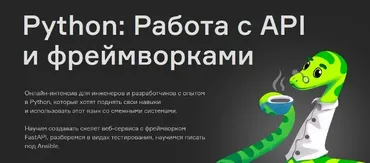 [Слёрм] Python: Работа с API и фреймворками (Денис Наумов, Павел Ляшков, Ольга Скобина)