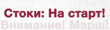 Стоки на старт. Тариф Самостоятельный (Анна Асетрова)