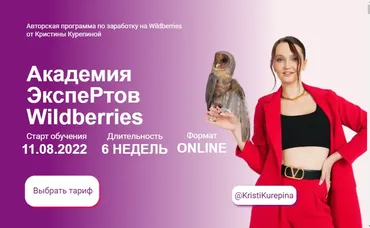 Академия экспертов Wildberries. Тариф Старт (Кристина Курепина)