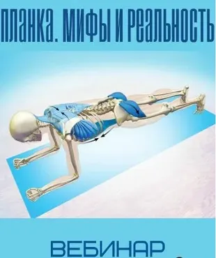 Планка. Мифы и реальность (Анна Воронина, Антон Шапочка)