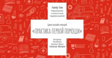 Первая помощь правила и практики (Станислав Манеров)