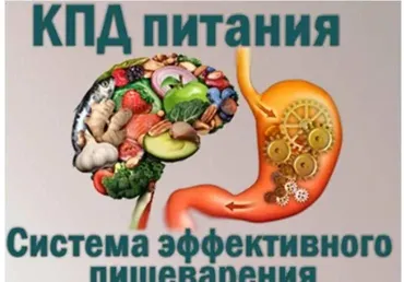 КПД питания. Система эффективного пищеварения (Ольга Бутакова)