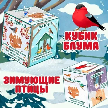 [umeem_igrat] Кубик Блума. Зимующие птицы (Алсу Хаметова)