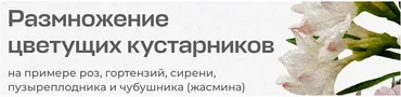 [Умный садовник] Размножение цветущих кустарников (Владимир Задоркин)