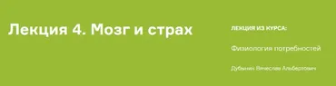 Мозг и страх, мозг и стресс (Вячеслав Дубынин)