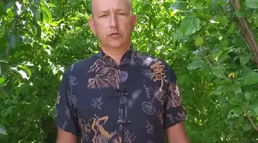 Исцеляющий самомассаж (Андрей Апакин)