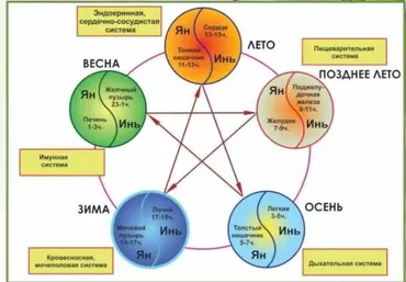 Практикум «Как скорректировать Здоровье по Бацзы и У-СИН» (Оксана Лысикова)