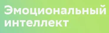 Эмоциональный интеллект (Ирина Стукалова)