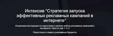 Стратегия запуска эффективных рекламных кампаний в интернете (Надежда Раюшкина)