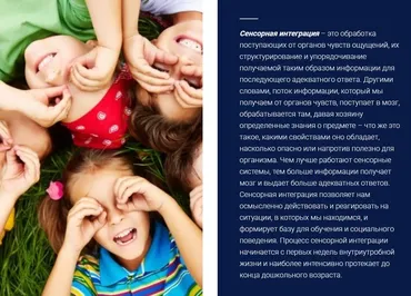 Диагностика и коррекция сенсорных нарушений у детей. Основы эрготерапии (Виктория Осипова)