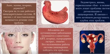 Здоровое пищеварение (Наталья Кондакова)