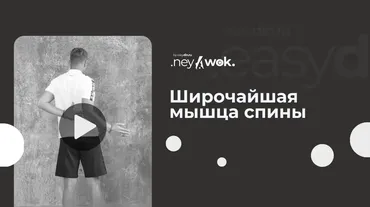 [Easydin Academy] Нейвок. Широчайшая мышца спины (Сергей Оларь)