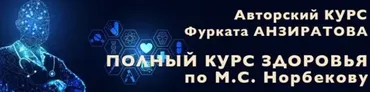 Полный курс здоровья по М. С. Норбекову (Фурхад Анзиратов)