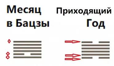 Прогнозы на 2026 год по Ци Мень, фэн-шуй и гексаграммам И-Цзин (Ольга Фандорина)