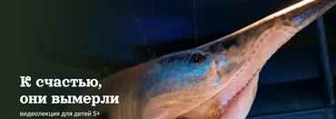 [Детский лекторий] К счастью, они вымерли (Александр Толмачев)