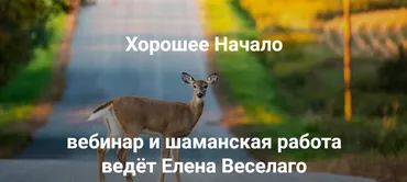 [Институт Открытого поля] Хорошее начало (Елена Веселаго)